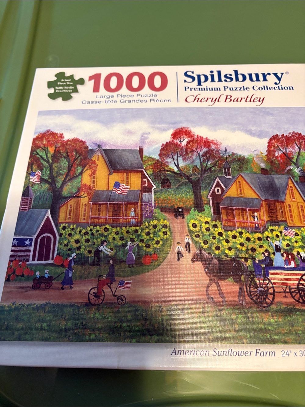 1000 Pieces Puzzle
